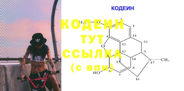 индика Балабаново