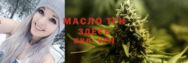 индика Балабаново