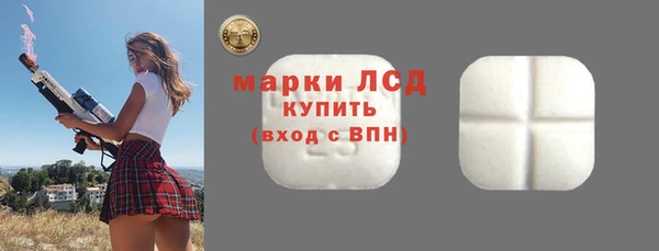 индика Балабаново