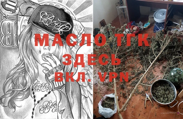 индика Балабаново
