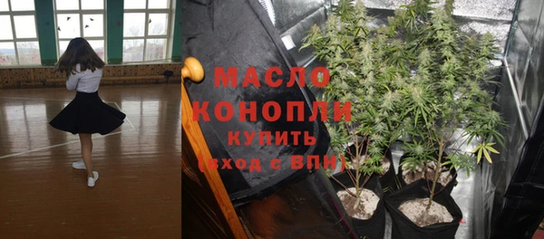 индика Балабаново