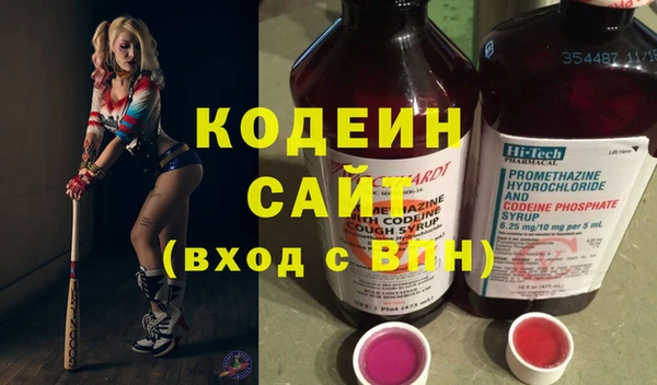 индика Балабаново