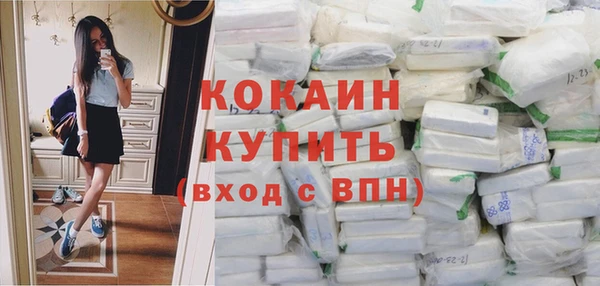 индика Балабаново