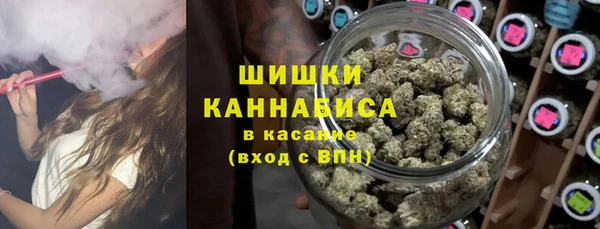 индика Балабаново