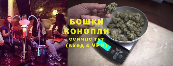 индика Балабаново
